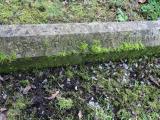 image of grave number 612591